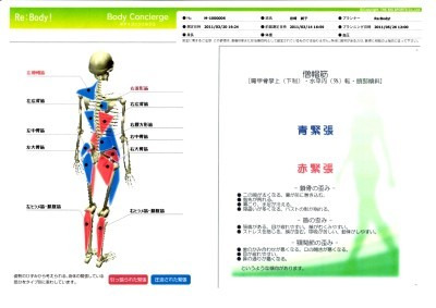 $歪み・内臓・自律神経を整える【整体Re:Body!（リボディ）|大阪心斎橋】で自然治癒力ＵＰ。-姿勢分析姿勢矯正 猫背 O脚