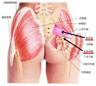 $歪み/内臓/自律神経を整える【整体Re:Body!(リボディ)|大阪心斎橋】で自然治癒力UP。-坐骨神経痛 腰痛 心斎橋難波なんば堀江